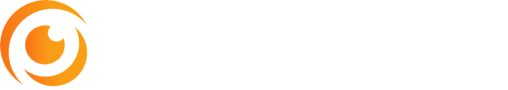 Cybervision
